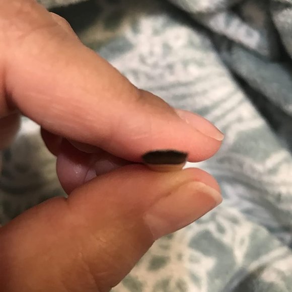 Double Ended Eyebrow Brush & Spoolie Angled Brow Brush - Picture 4 of 4